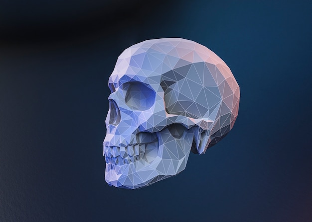 3D вид черепа