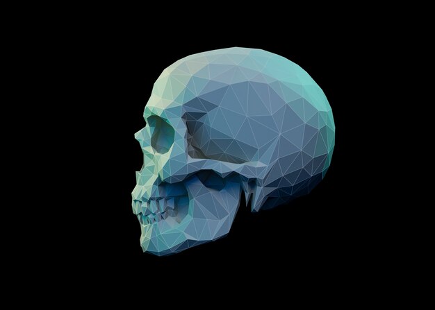 3D вид черепа