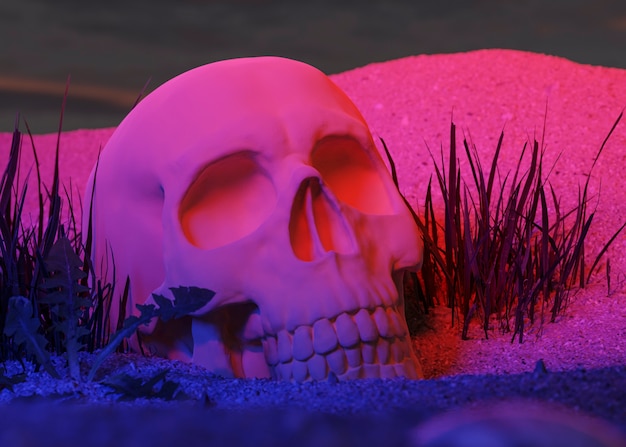 3d view of skull