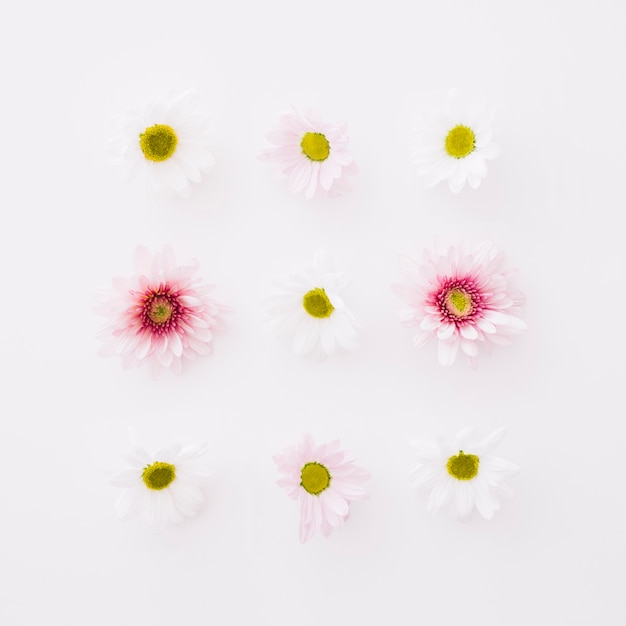 9 개의 작은 꽃