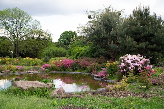 연못과 봄 꽃이 있는 키예프 식물원의 그림 같은 장소