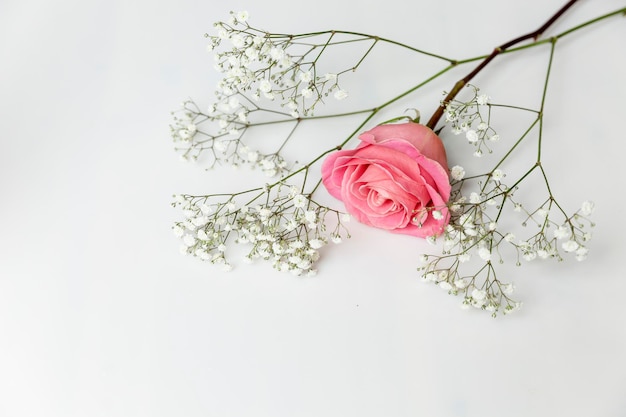 분홍색 장미가 탁자 위에 놓여 있습니다. 사랑과 부드러움. 흰 바탕. 텍스트를 위한 공간입니다.
