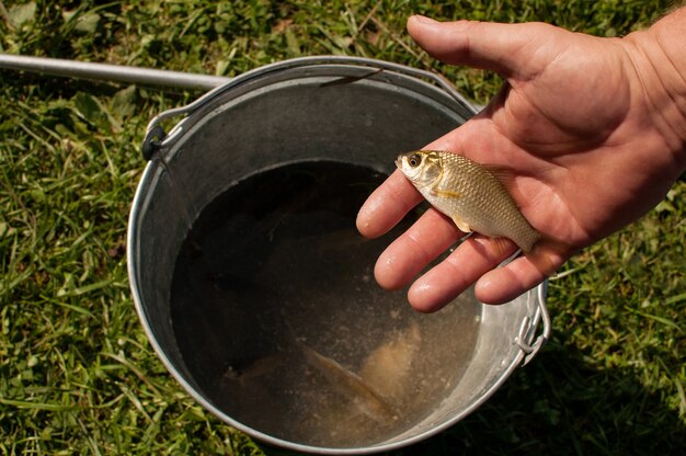 Рыбка, пойманная на удочку в руке на фоне металлического ведра с водой