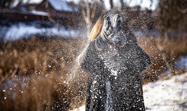 Женщина бросает снег на прогулку в солнечную погоду зимой