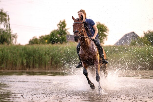 浅い湖で馬に乗っている少女 日没時に馬が水の上を走る プレミアム写真