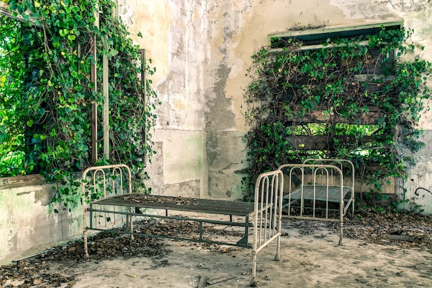 Foto gratuita ospedale abbandonato di poveglia