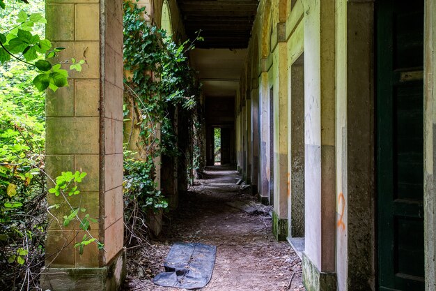 Abandoned Hospital in Poveglia