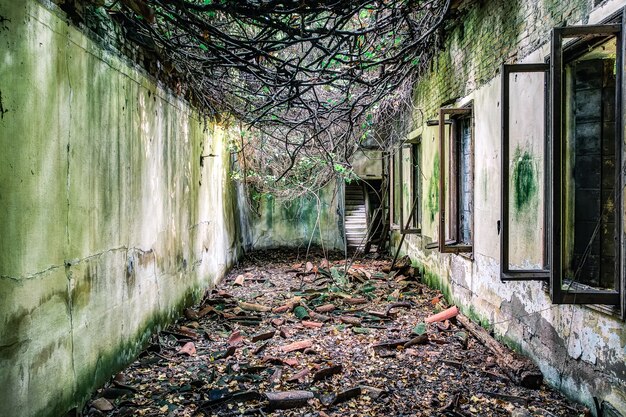 Abandoned Hospital in Poveglia