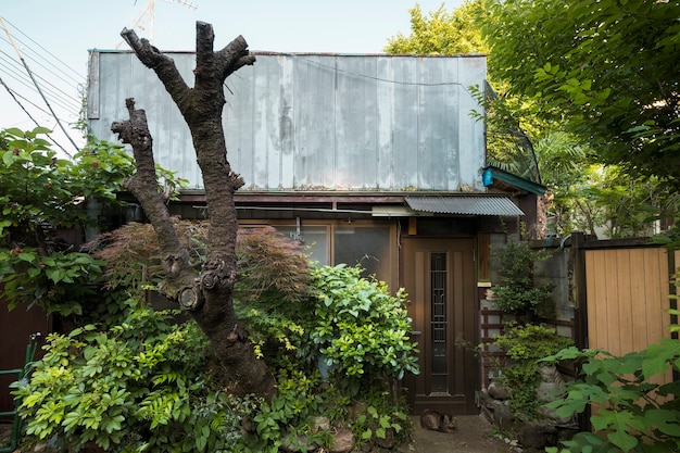 Free photo abandoned house with green plants