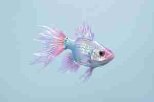 Free photo abstract 3d fish in studio