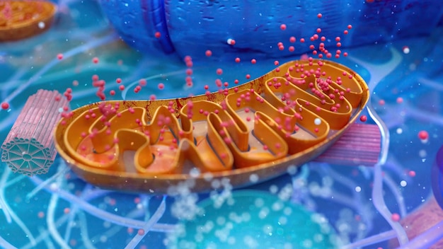 Бесплатное фото Абстрактная 3d-иллюстрация биологической клетки и митохондрий