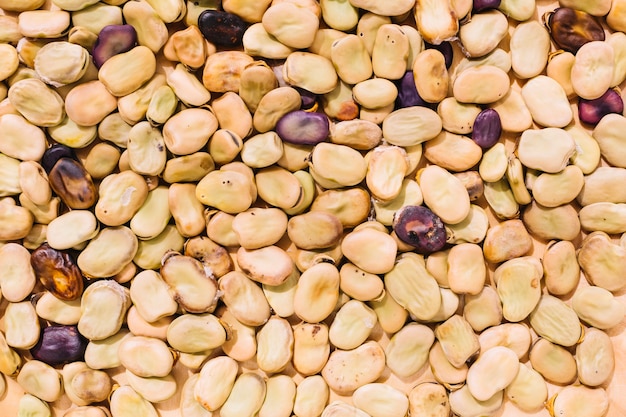 Abstract background of beans