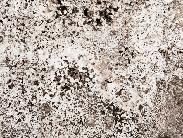 Abstract background of marble textured