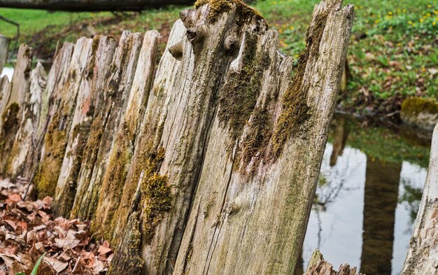 池の前の抽象的な背景古い木製の柵コピースペースのある木の苔の表面のテクスチャフェンスボードの選択的なソフトフォーカスは、自然空間のエコロジーをケアします