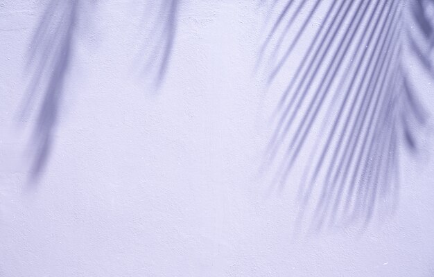 Abstract background of shadows palm leaves on a white wall.