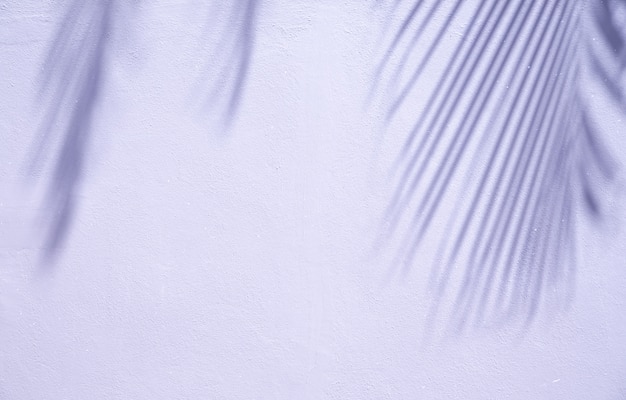 그림자 팜의 추상적 인 배경을 흰 벽에 나뭇잎.