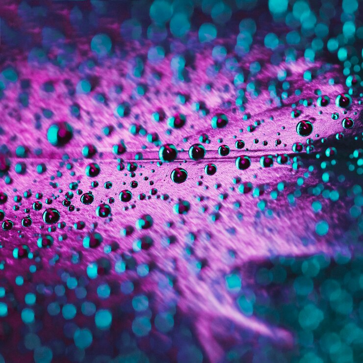 Free Photo abstract background and texture of water bubbles