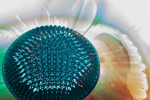 Understanding the Role of Immunostimulants