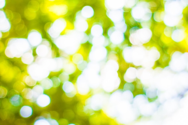 Free photo abstract blur green bokeh light