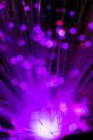 Free photo abstract blurred flower in purple