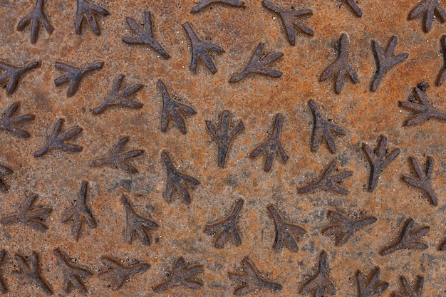 Abstract close-up of rusty metallic wallpaper