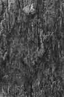 Free photo abstract dark gray plaster