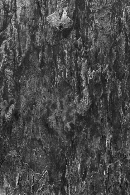 Abstract dark gray plaster