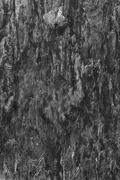 Abstract dark gray plaster