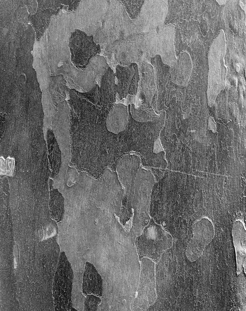 Abstract dark gray stucco template