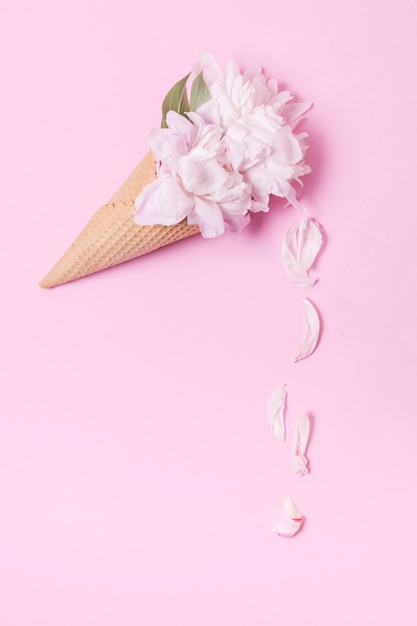 무료 사진 꽃잎과 초록 꽃 아이스크림 콘