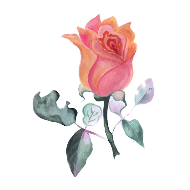 Elemento astratto fiore rosa verde acquerello sfondo illustrazione ad alta risoluzione foto gratis