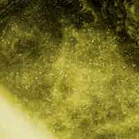 Бесплатное фото Абстрактный золотой туман с битами