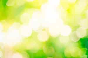 Free photo abstract green bokeh background