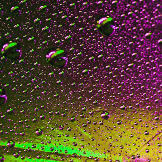 Abstract green and purple wet texture with bubbles on window glass surface