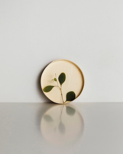 Abstract minimal plant in a cardboard circle