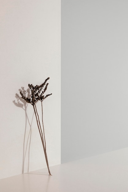 Foto gratuita pianta minima astratta che si appoggia su uno spazio della copia della parete