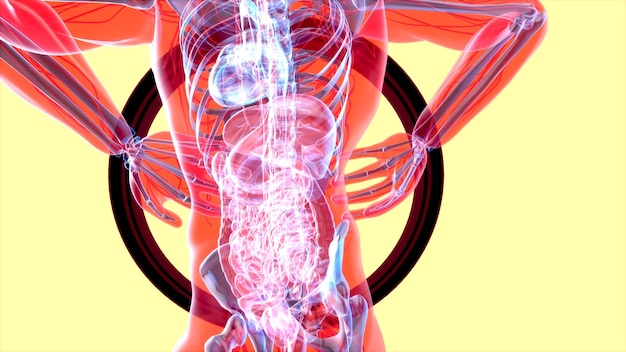無料写真 腰痛と腎臓のアブストラクトモーションデザイン