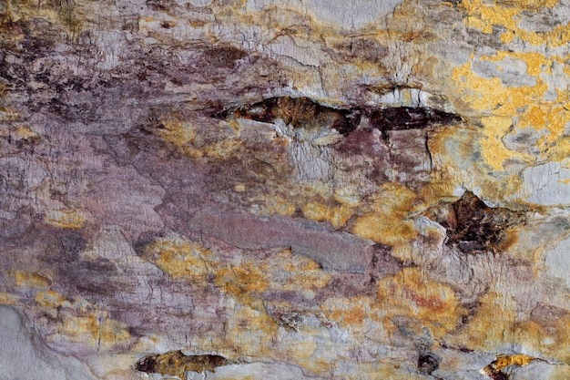 Бесплатное фото Абстрактная текстура природного камня