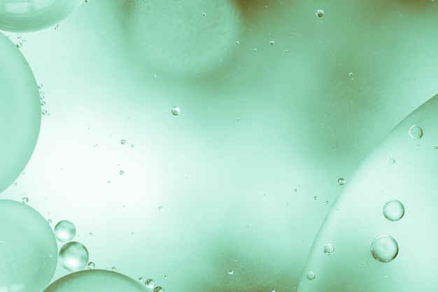 Abstract oil drops in fluid on blurred green background