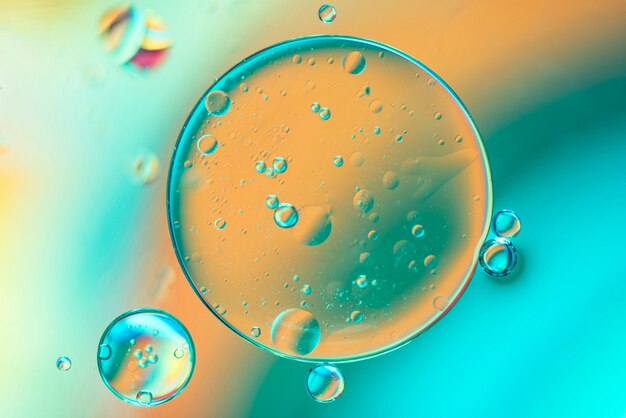 Abstract oil drops in fluid on blurred muticolored background