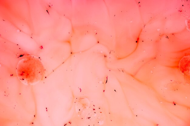 Abstract of pink flesh and veins