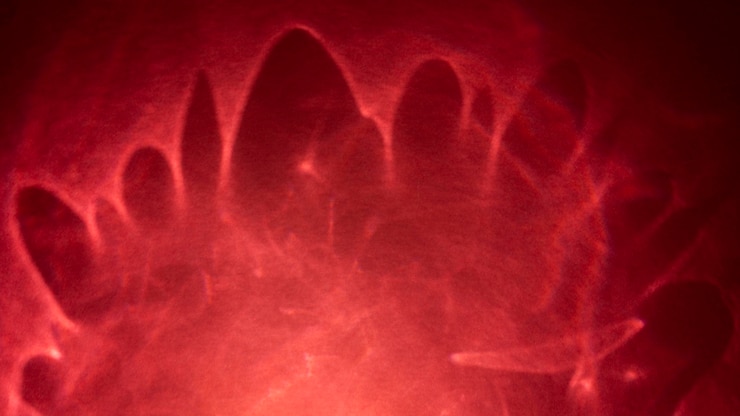 मुफ़्त फोटो abstract red bright lights prism effect