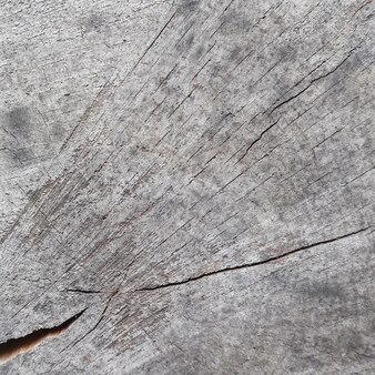 Abstract texture from the rings of old weathered wood with a crack cross section of tree trunk