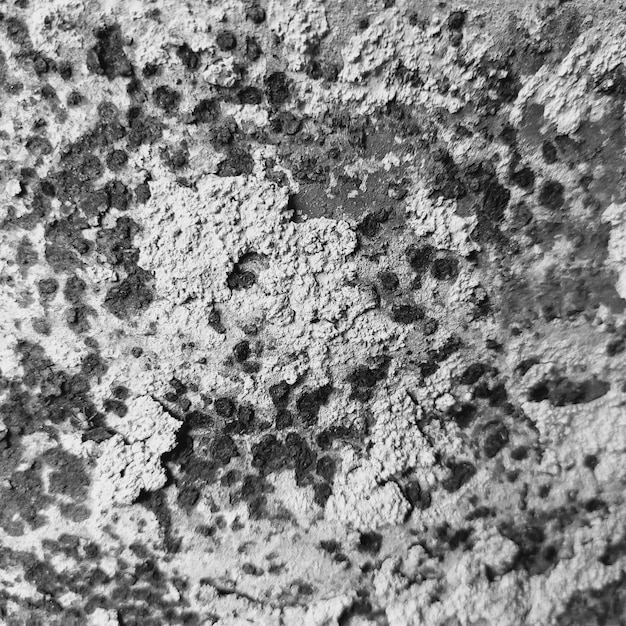 Abstract Wall or Stone Texture