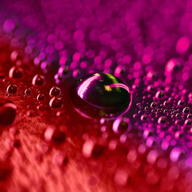 Abstract water droplets on red and pink textured bubble backdrop
