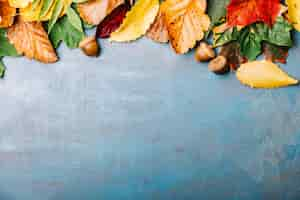 Free photo acorns and foliage on blackboard