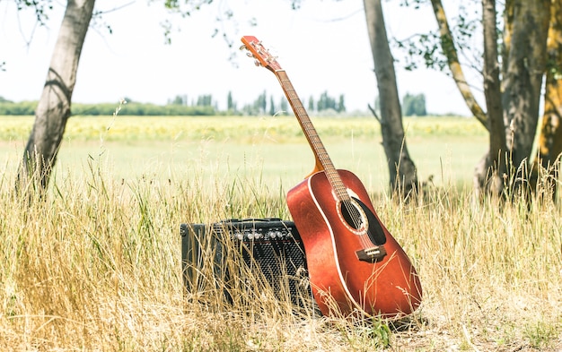 Acoustic guitar nature ,the concept of music and nature