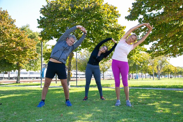 Активные спортивные зрелые люди делают утреннюю зарядку в парке, стоя на траве и сгибая стволы. Концепция выхода на пенсию или активного образа жизни