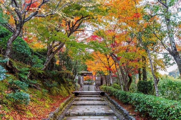 Храм Адашиноненбуцудзи осенью, Киото в Японии.