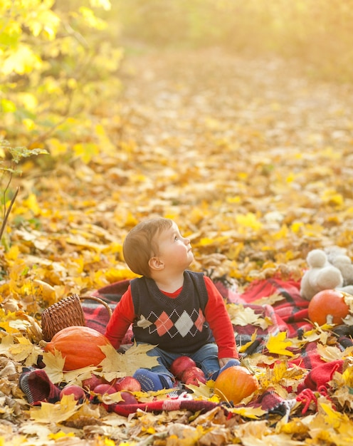 Adorable baby boy on a blanket looking away